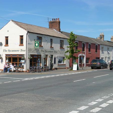 The Sycamore Tree Longtown Exterior foto